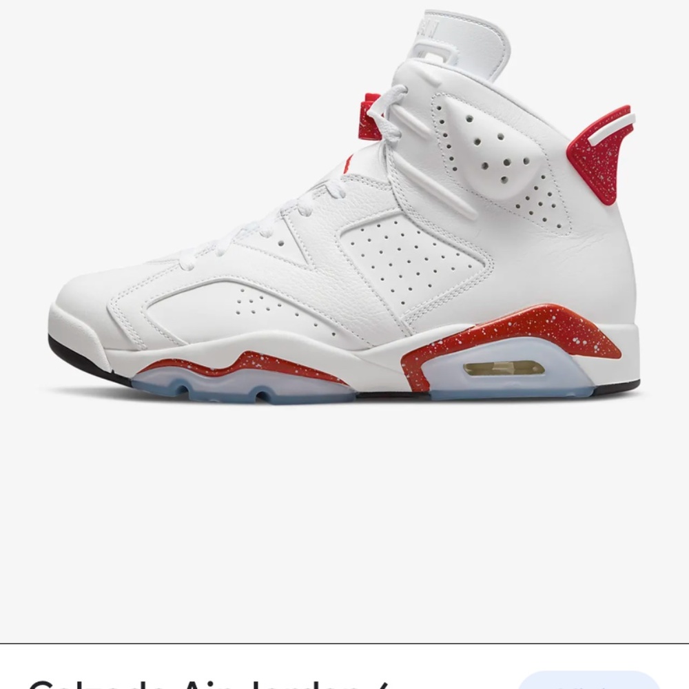 Air Jordan retro 6
